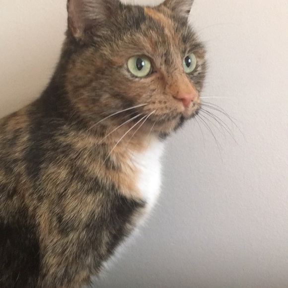 Meet me and maybe shop too! - Picture 5 of 6